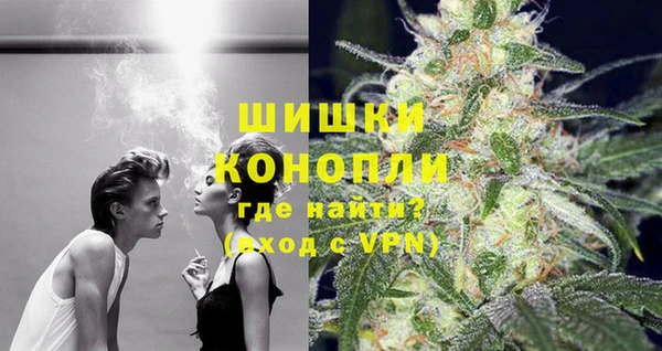 ПСИЛОЦИБИНОВЫЕ ГРИБЫ Слюдянка
