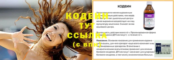 сатива Баксан