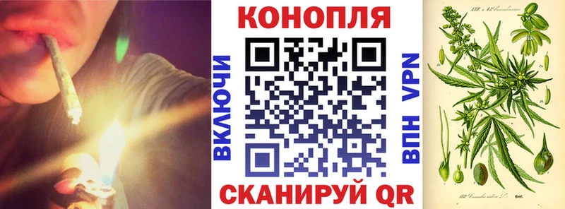 Бошки марихуана планчик  Высоцк 